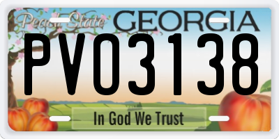 GA license plate PVO3138