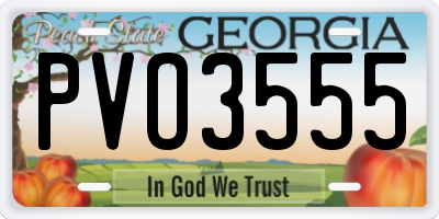 GA license plate PVO3555