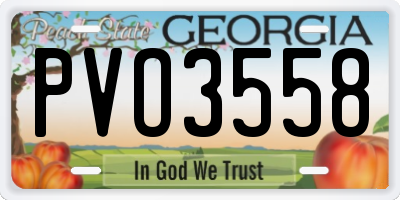 GA license plate PVO3558