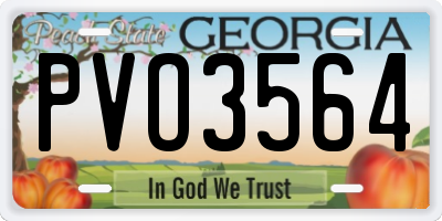 GA license plate PVO3564