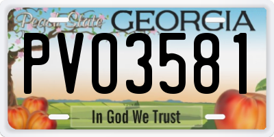 GA license plate PVO3581