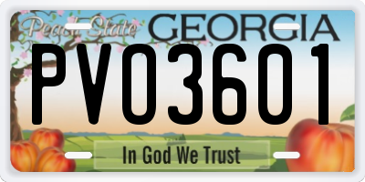 GA license plate PVO3601