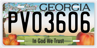 GA license plate PVO3606