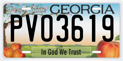 GA license plate PVO3619