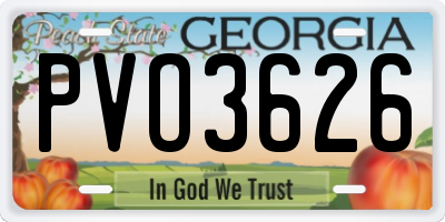 GA license plate PVO3626