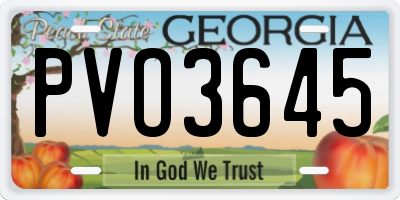 GA license plate PVO3645
