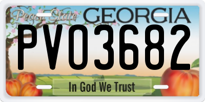 GA license plate PVO3682