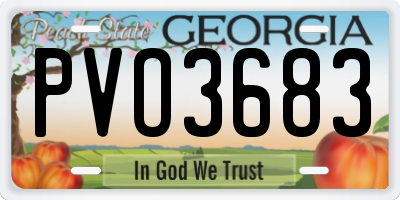 GA license plate PVO3683