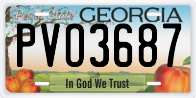 GA license plate PVO3687