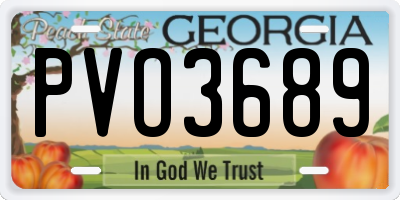 GA license plate PVO3689