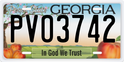 GA license plate PVO3742
