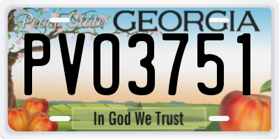 GA license plate PVO3751