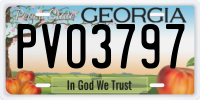 GA license plate PVO3797