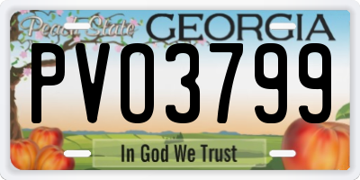 GA license plate PVO3799