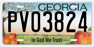 GA license plate PVO3824