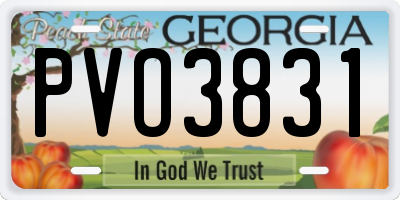 GA license plate PVO3831