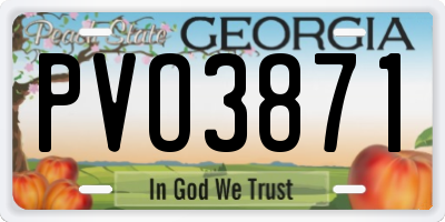 GA license plate PVO3871