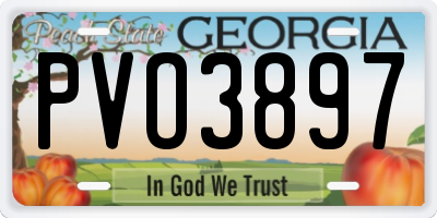 GA license plate PVO3897