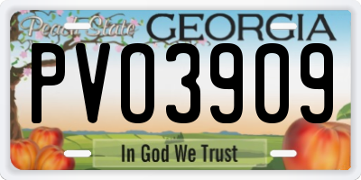 GA license plate PVO3909