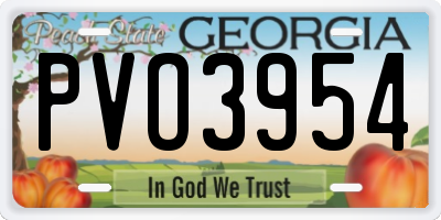 GA license plate PVO3954