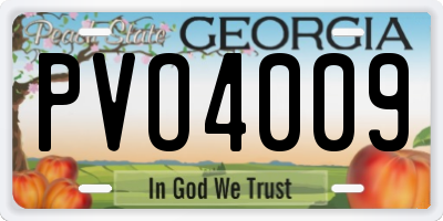 GA license plate PVO4009