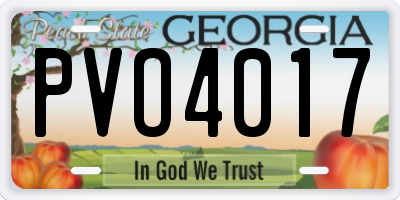 GA license plate PVO4017