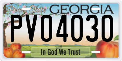 GA license plate PVO4030