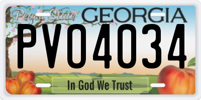GA license plate PVO4034