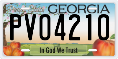 GA license plate PVO4210