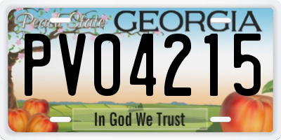 GA license plate PVO4215