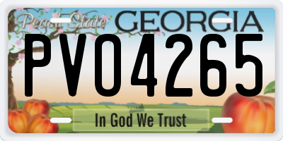 GA license plate PVO4265