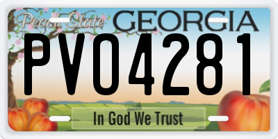 GA license plate PVO4281