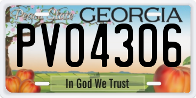 GA license plate PVO4306