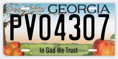 GA license plate PVO4307