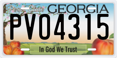 GA license plate PVO4315