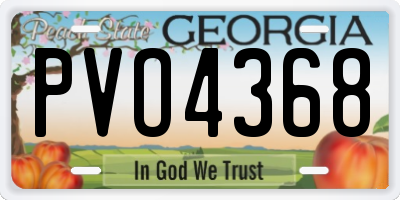 GA license plate PVO4368