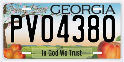 GA license plate PVO4380