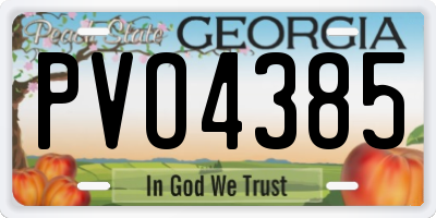 GA license plate PVO4385