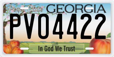 GA license plate PVO4422