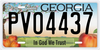 GA license plate PVO4437