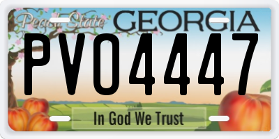 GA license plate PVO4447