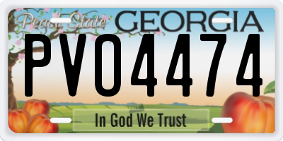 GA license plate PVO4474