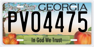 GA license plate PVO4475