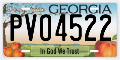 GA license plate PVO4522