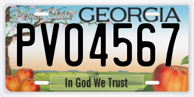 GA license plate PVO4567
