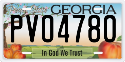 GA license plate PVO4780