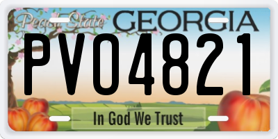 GA license plate PVO4821