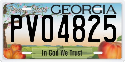 GA license plate PVO4825
