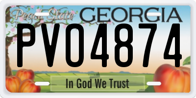 GA license plate PVO4874