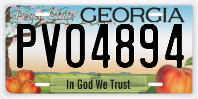 GA license plate PVO4894